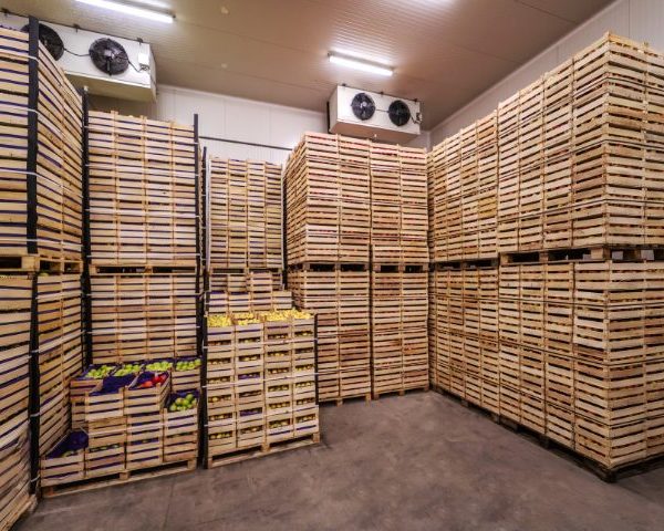 Kho lạnh bảo quản trái cây