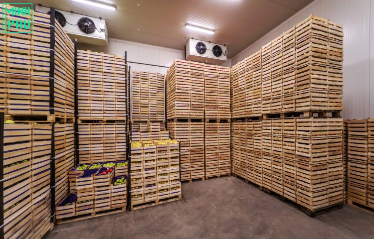 Kho lạnh bảo quản trái cây Kho lạnh bảo quản trái cây