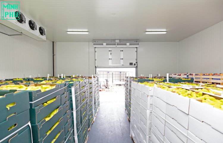 Kho lạnh bảo quản trái cây Kho lạnh bảo quản trái cây