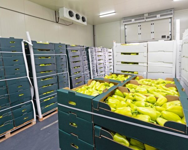 Kho lạnh bảo quản trái cây