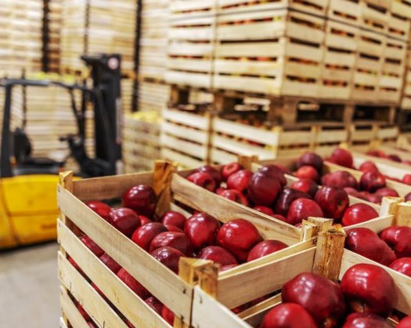 Kho lạnh bảo quản trái cây