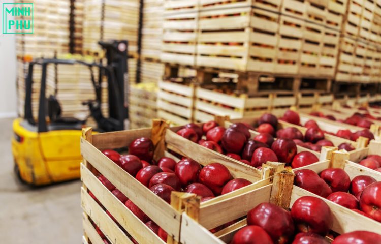Kho lạnh bảo quản trái cây Kho lạnh bảo quản trái cây