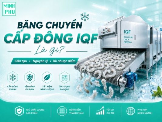 Băng Chuyền Cấp Đông IQF Là Gì? Tìm Hiểu Về Cấu Tạo, Nguyên Lý Và Ưu Nhược Điểm