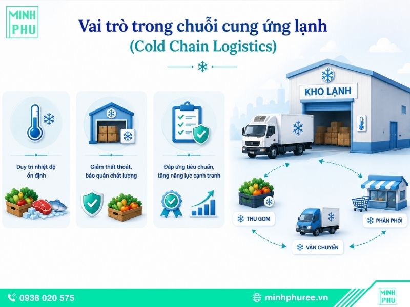 Vai trò trong chuỗi cung ứng lạnh